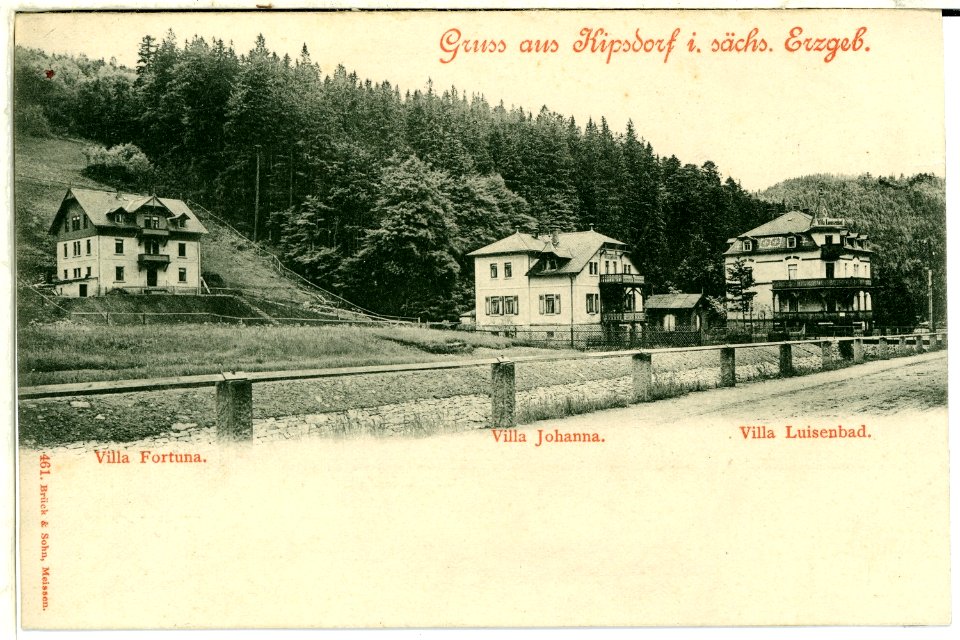 00461-Kipsdorf-1898-Villa Fortuna, Villa Johanna, Villa Luisenbad-Brück & Sohn Kunstverlag