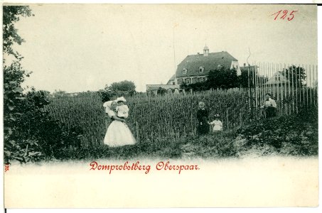 00125-Meißen-1898-Oberspaar, Domprobstberg-Brück & Sohn Kunstverlag