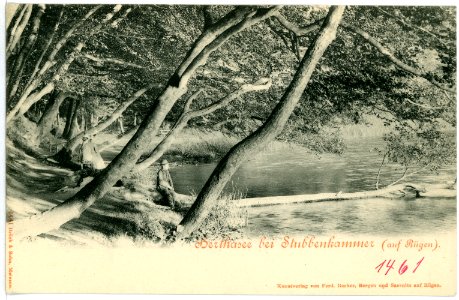 01461-Stubbenkammer-1900-Herthasee-Brück & Sohn Kunstverlag