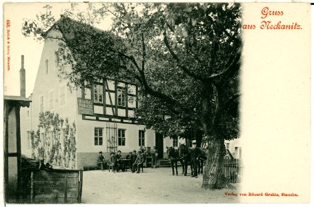 00453-Neckanitz-1898-Gasthof-Brück & Sohn Kunstverlag