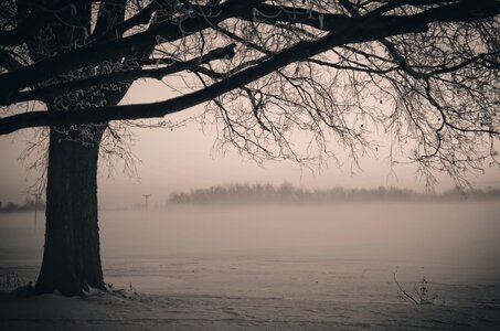 Landscape leaves sad