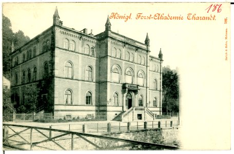 00186-Tharandt-1898-Forstakademie-Brück & Sohn Kunstverlag