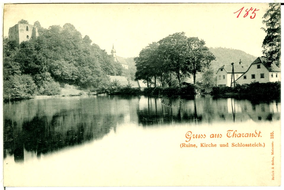00185-Tharandt-1898-Ruine, Kirche, Schloßteich-Brück & Sohn Kunstverlag