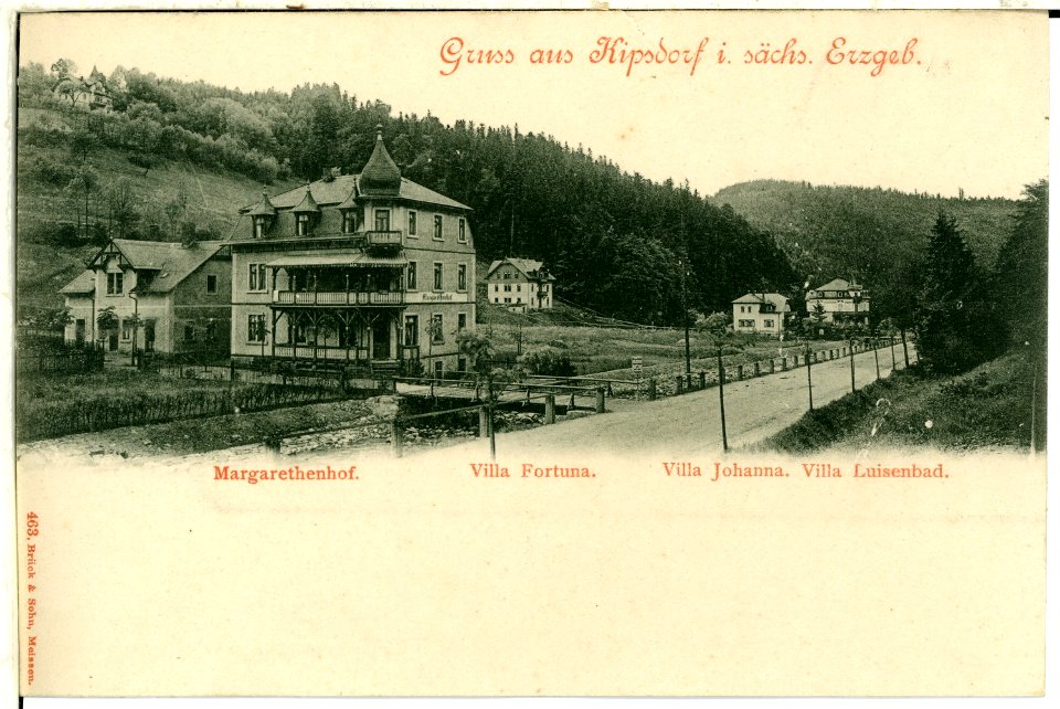 00463-Kipsdorf-1898-Margarethenhof und andere Villen-Brück & Sohn Kunstverlag