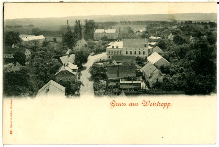 00491-Weißstropp-1898-total-Brück & Sohn Kunstverlag