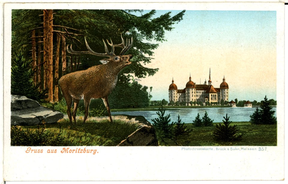 00357-Moritzburg-1898-Schloß mit Teich-Brück & Sohn Kunstverlag