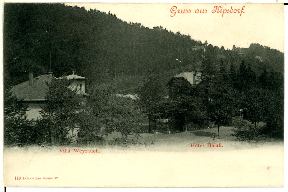 00110-Kipsdorf-1898-Hotel Halali, Villa Weyrauch-Brück & Sohn Kunstverlag