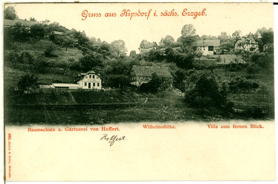 00466-Kipsdorf-1898-Gärtnerei, Wilhelmshöhe, Villa zum fernen Blick-Brück & Sohn Kunstverlag