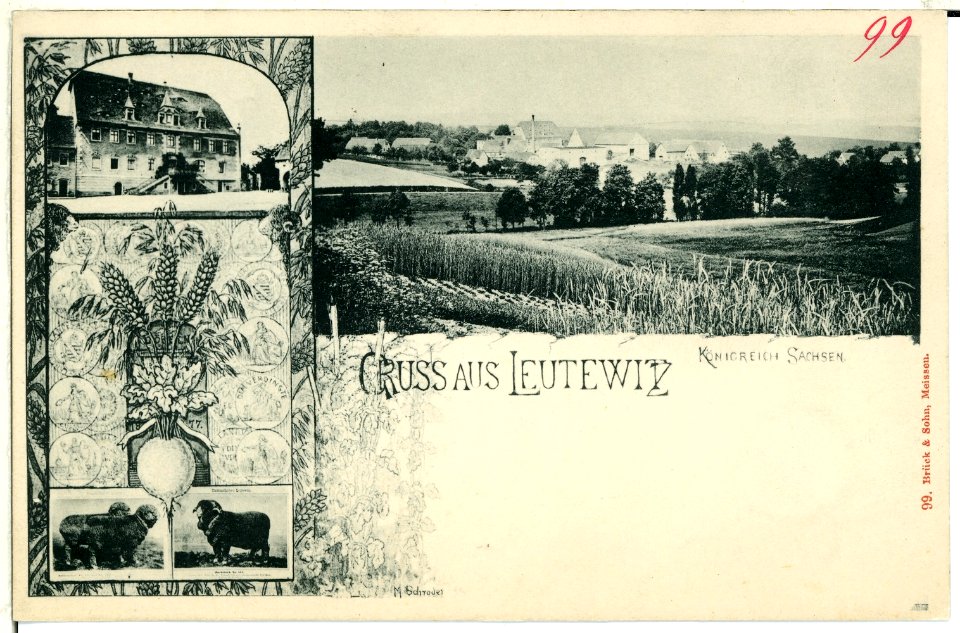 00099-Leutewitz-1898-Ortsansicht-Brück & Sohn Kunstverlag