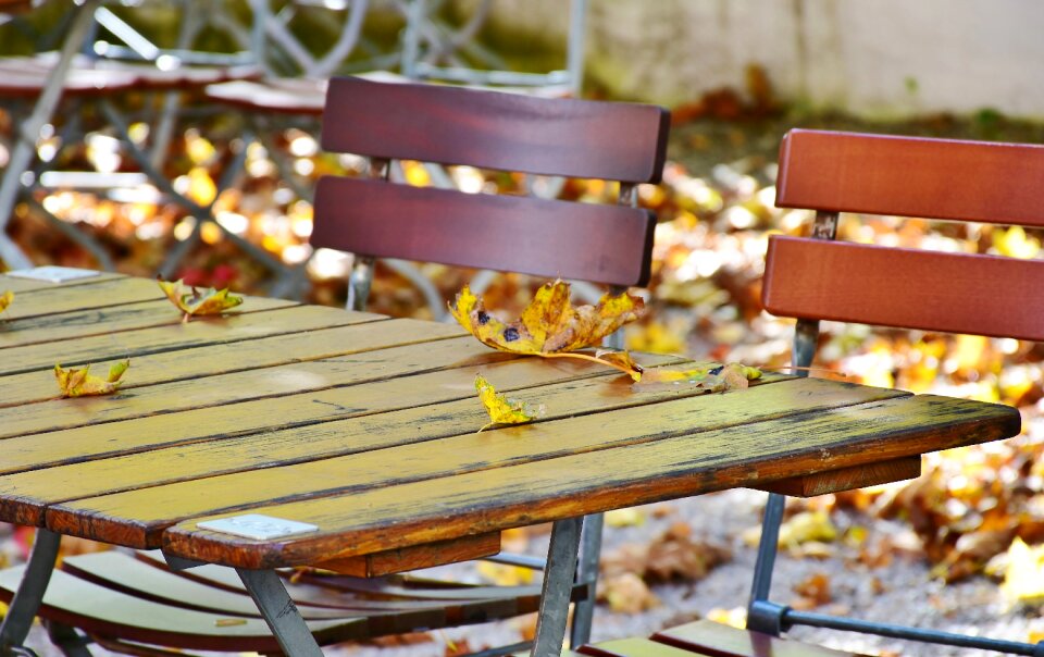 Dining tables leaves color