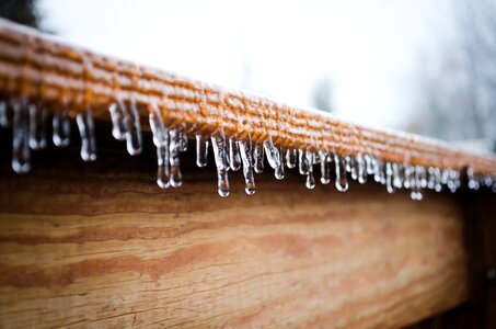 Cold weather wood