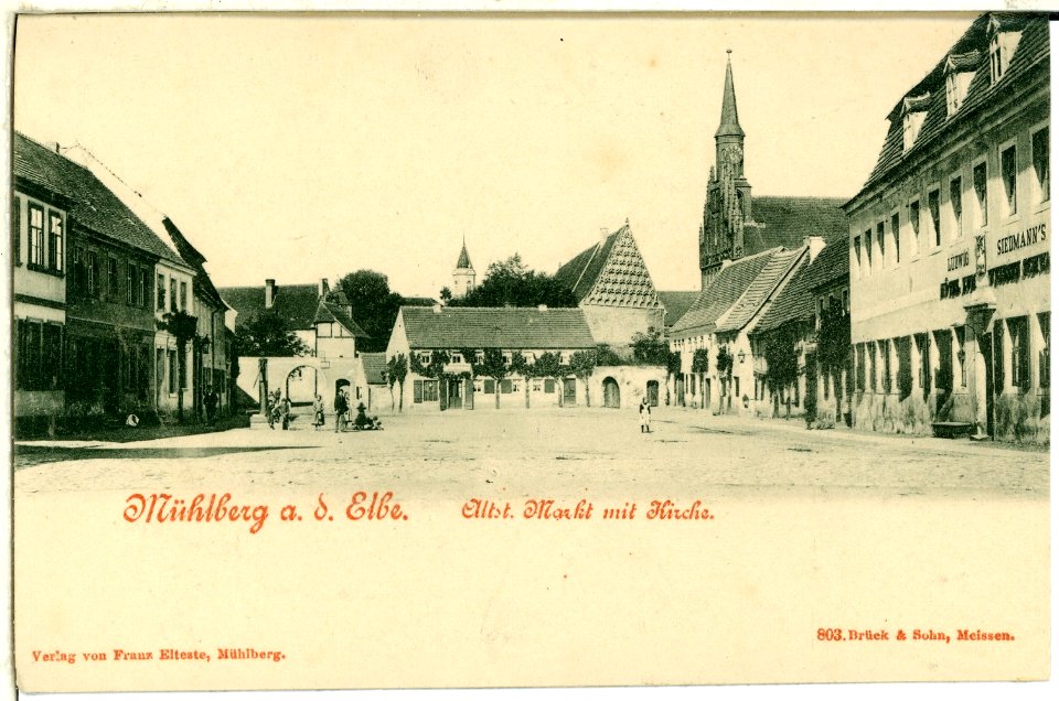 00803-Mühlberg a. d. Elbe-1898-Altstadt Markt und Kirche-Brück & Sohn Kunstverlag