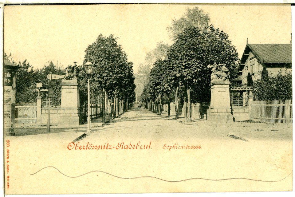 00880-Radebeul-1898-(Oberlößnitz) Sophienstraße-Brück & Sohn Kunstverlag
