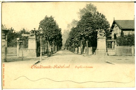 00880-Radebeul-1898-(Oberlößnitz) Sophienstraße-Brück & Sohn Kunstverlag