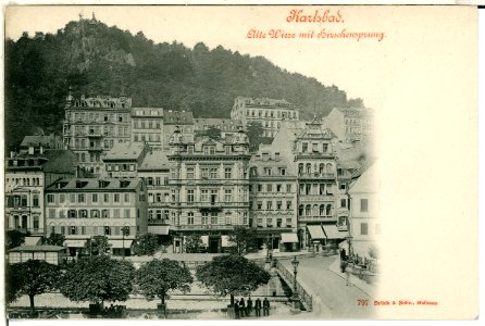 00797-Karlsbad-1898-Alte Wiese mit Hirschensprung-Brück & Sohn Kunstverlag