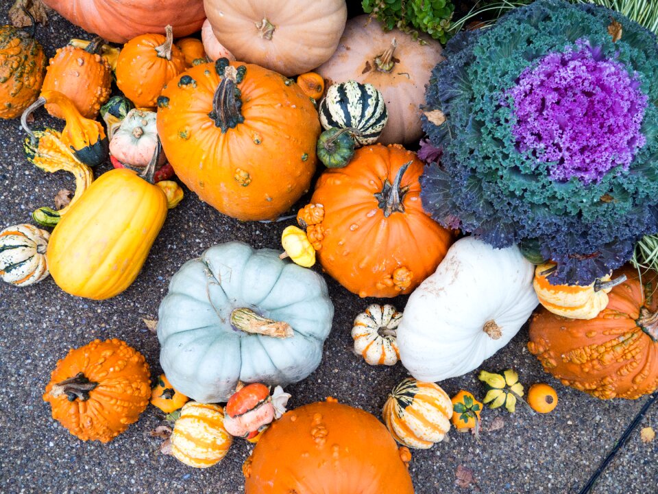 Autumn ground pavement