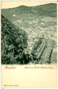 00635-Karlsbad-1898-Blick von dem Kaiser Friedrich Wilhelm Platz-Brück & Sohn Kunstverlag