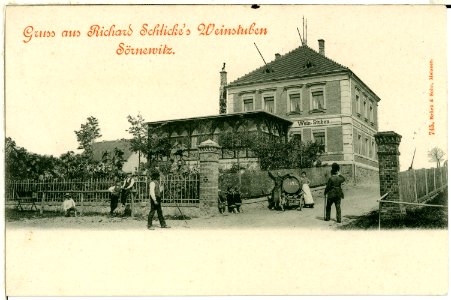 00745-Sörnewitz-1898-Schlicke`s Weinstuben-Brück & Sohn Kunstverlag