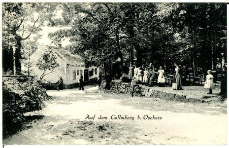 00731-Oschatz-1898-Collmberg-Brück & Sohn Kunstverlag