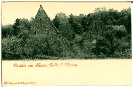 00807-Alt Zella-1898-Klosterruine, Klostermauern-Brück & Sohn Kunstverlag