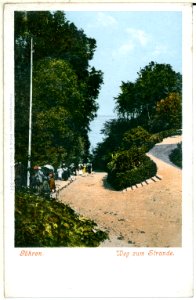 00565-Göhren-1898-Göhren auf Rügen, Weg zum Strand-Brück & Sohn Kunstverlag