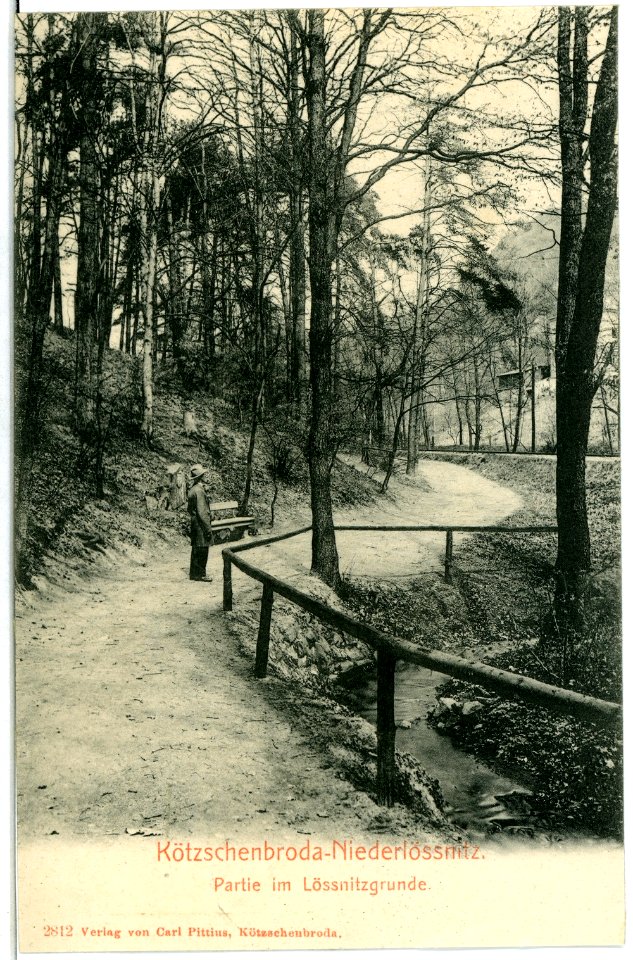 02812-Kötzschenbroda-1903-Niederlößnitz, Lößnitzgrund-Brück & Sohn Kunstverlag