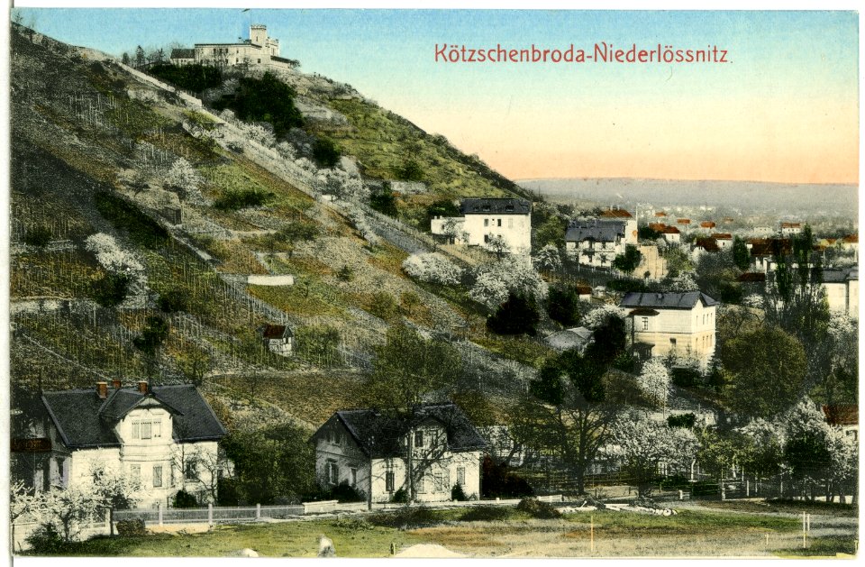 02810-Kötzschenbroda-1903-Niederlößnitz-Brück & Sohn Kunstverlag