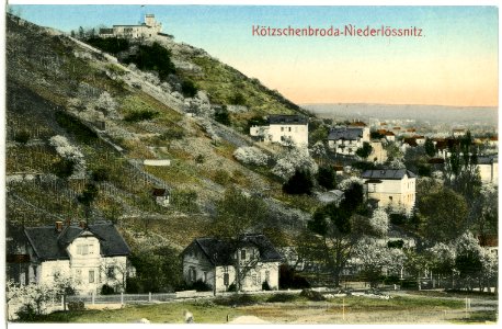 02810-Kötzschenbroda-1903-Niederlößnitz-Brück & Sohn Kunstverlag