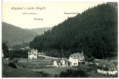 02610-Kipsdorf (Erzgebirge)-1902-Villa Johanna, Waldburg, Magarethenhof-Brück & Sohn Kunstverlag