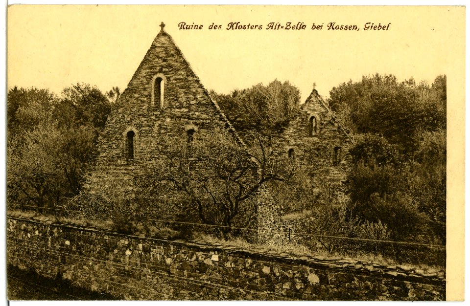 02735-Altzella-1902-Kloster Ruine-Brück & Sohn Kunstverlag