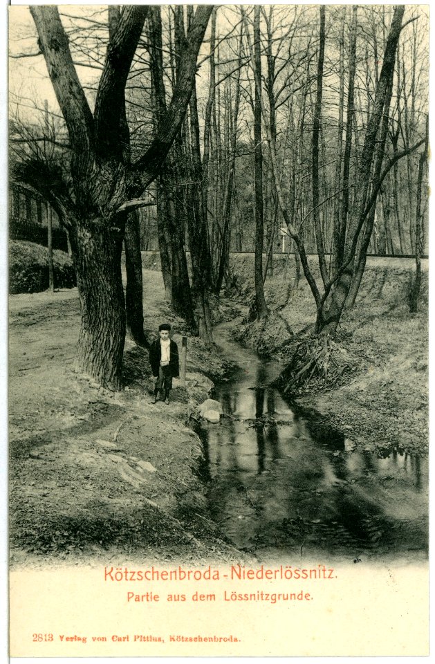 02813-Kötzschenbroda-1903-Niederlößnitz, Lößnitzgrund-Brück & Sohn Kunstverlag