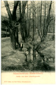 02813-Kötzschenbroda-1903-Niederlößnitz, Lößnitzgrund-Brück & Sohn Kunstverlag