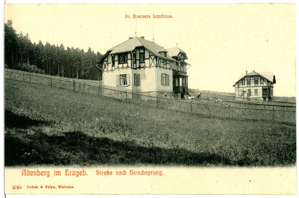 02758-Altenberg-1903-Straße nach Hirschsprung - Dr. Börners Landhaus-Brück & Sohn Kunstverlag