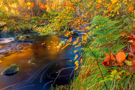 Hidden stream countryside