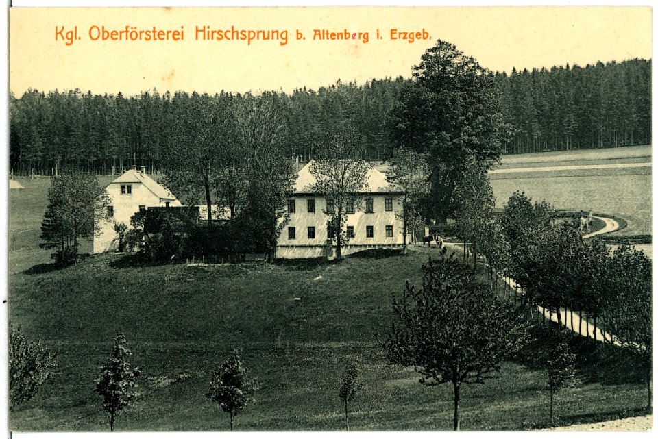 02759-Hirschsprung-1903-bei Altenberg, Königliche Oberförsterei-Brück & Sohn Kunstverlag