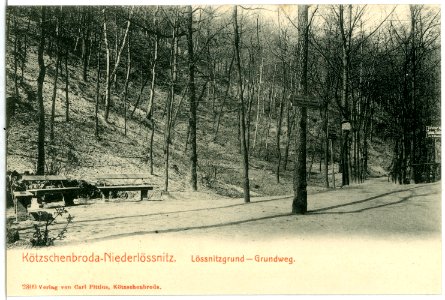 02809-Kötzschenbroda-1903-Niederlößnitz, Lößnitzgrund, Grundweg-Brück & Sohn Kunstverlag