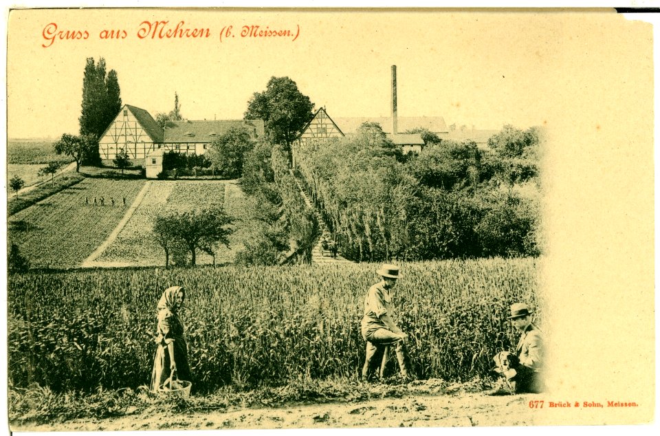 00677-Mehren-1898--Brück & Sohn Kunstverlag