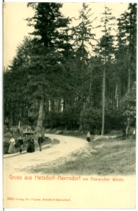 02963-Hetzdorf-Herrndorf-1903-am Tharandter Wald-Brück & Sohn Kunstverlag