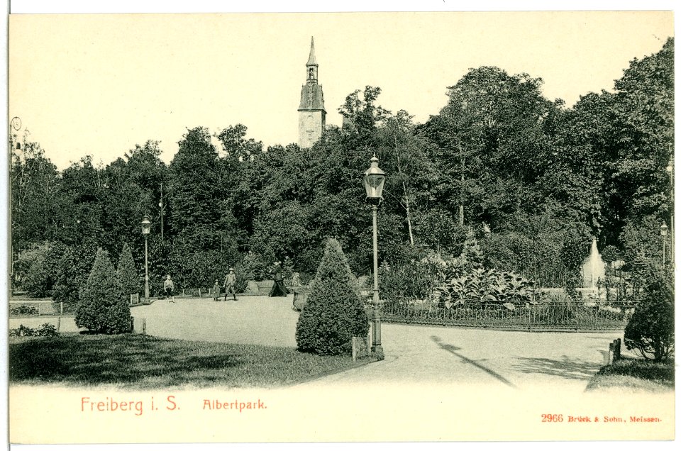 02966-Freiberg-1903-Albertpark-Brück & Sohn Kunstverlag