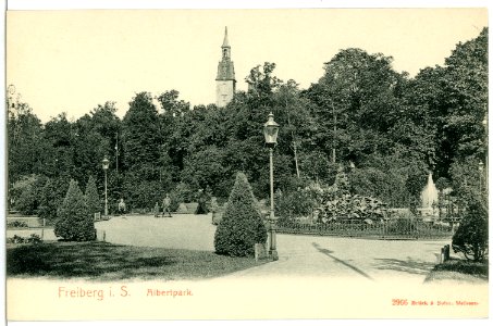 02966-Freiberg-1903-Albertpark-Brück & Sohn Kunstverlag