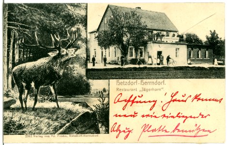 02941-Hetzdorf-Herrndorf-1903-Restaurant Jägerhorn-Brück & Sohn Kunstverlag
