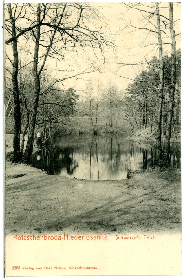 02805-Kötzschenbroda-1903-Niederlößnitz - Schwarzes Teich-Brück & Sohn Kunstverlag