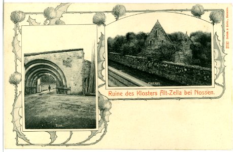 02737-Altzella-1902-Kloster - Ruine, Giebel und Tor-Brück & Sohn Kunstverlag