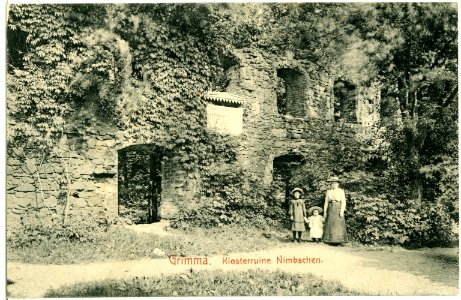 02777-Grimma-1903-Klosterruine Nimbschen-Brück & Sohn Kunstverlag