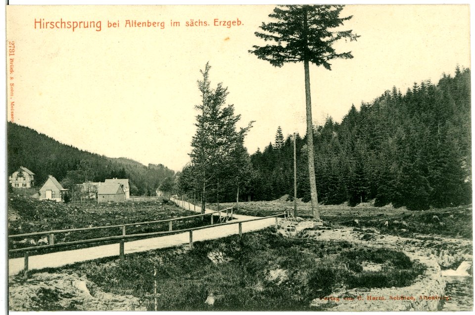 02731-Hirschsprung-1902-Hirschsprung bei Altenberg-Brück & Sohn Kunstverlag