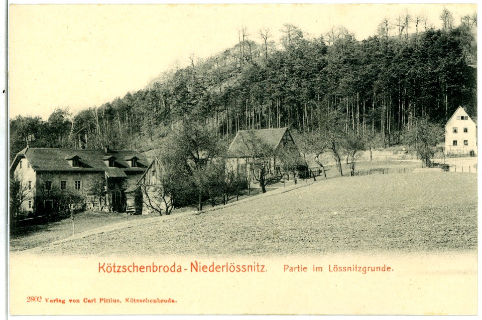 02802-Kötzschenbroda-1903-Niederlößnitz, Lößnitzgrund-Brück & Sohn Kunstverlag