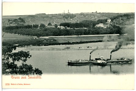 02725-Seußlitz-1902-Blick auf die Elbe mit Schlepper-Brück & Sohn Kunstverlag