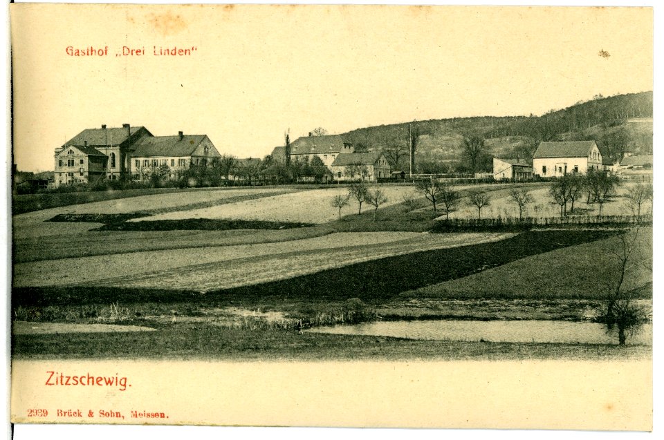 02939-Zitzschewig-1903-Gasthof Drei Linden-Brück & Sohn Kunstverlag