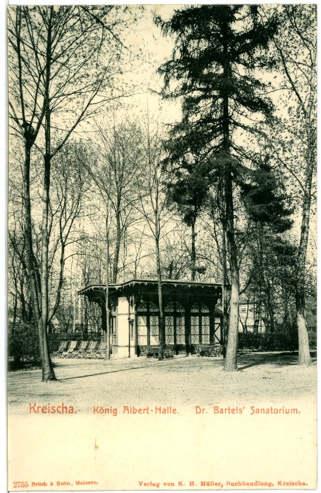 02755-Kreischa-1903-König-Albert-Halle, Dr. Bartels Sanatorium-Brück & Sohn Kunstverlag