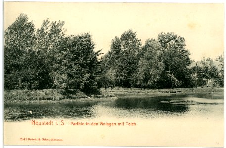 02641-Neustadt i. Sachsen-1902-Anlagen mit Teich-Brück & Sohn Kunstverlag